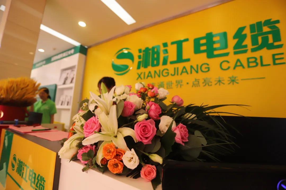 連通世界 點(diǎn)亮未來??！湘江電纜集團(tuán)武漢旗艦店開業(yè)慶典盛大舉行！
